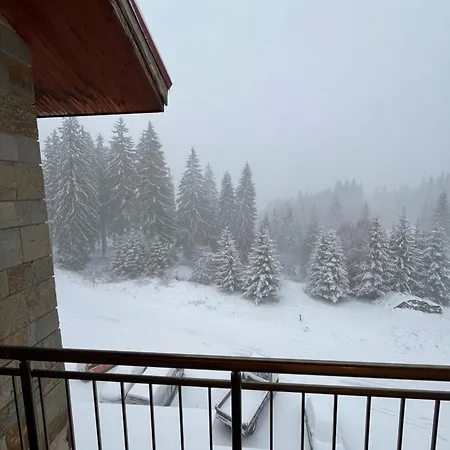Rodope 2* Pamporovo